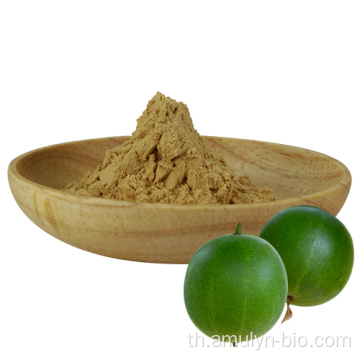 20% -95% Mogroside V Sweetener Monk Fruit Extract Powder